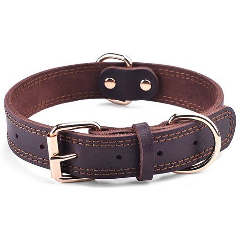 leather dog collar