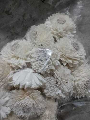 White Nautral Premium Design Sola Flower at Best Price in South 24 ...