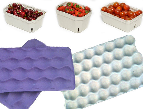 Eco Friendly Disposable Plain Durable Fruit Tray