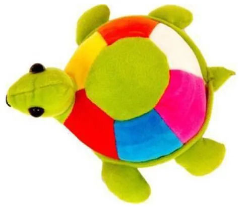 Multi Color Turtle Toy