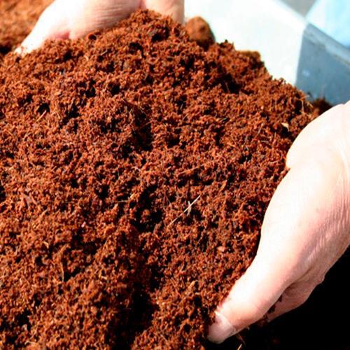 Eco-Friendly Coco Peat Powder