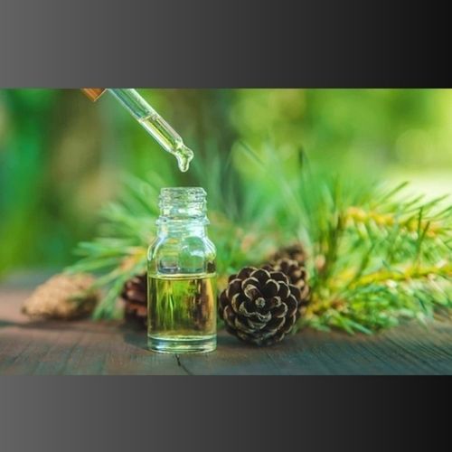 Pine Essential Oil