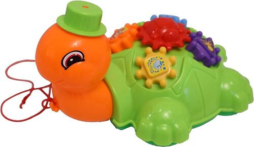 Turtle Toy