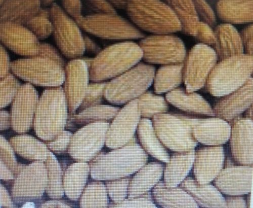 Organic Premium Almond Nuts - Dried Brown Variety | Optimum Quality, 20% Moisture, Food Grade, Fried Style