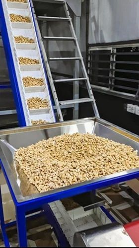 Automatic Mild Steel Cashew Sorting Machine