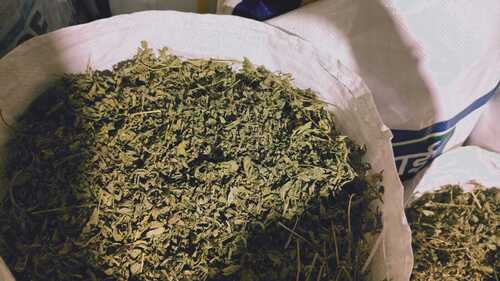 Dried Fenugreek Leaves