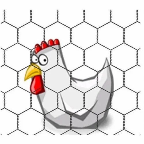 Galvanized Iron Hexagonal Wire Netting