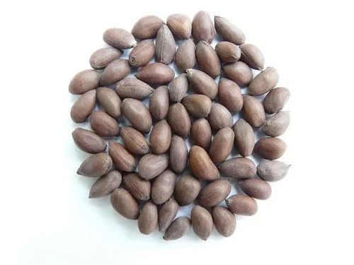 Cotton Seeds for Textile Industry Packaging Type  PP Packet