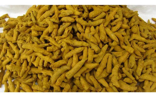 100% Natural And Pure Organic Turmeric Finger