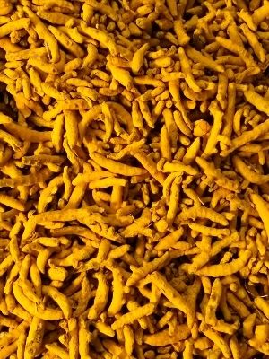 Natural Pure Dried Turmeric Finger