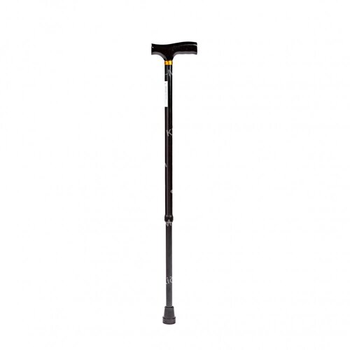 Walking Stick