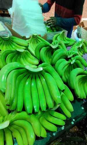 Fresh And Natural Premium Green Banana