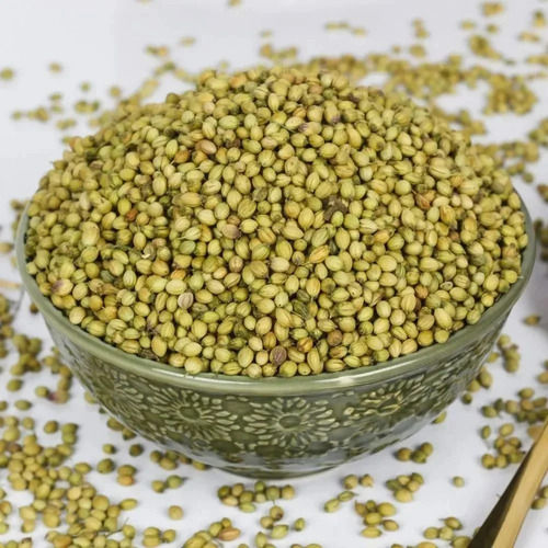 Sun Dried Green Coriander Seed