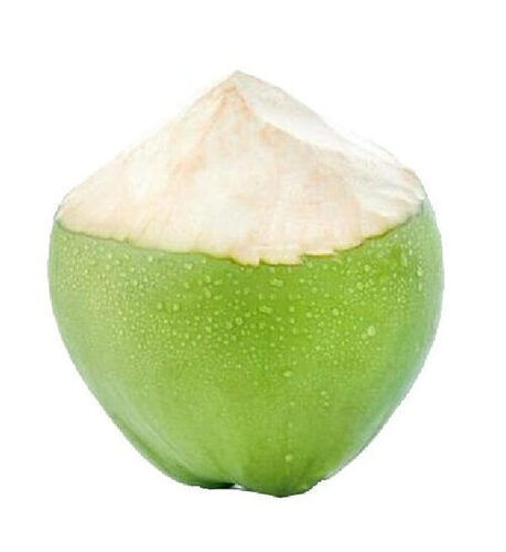 Natural And Good Taste Green Tender Coconut