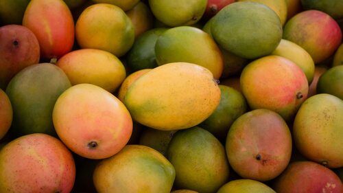 Fresh Kesar Mango