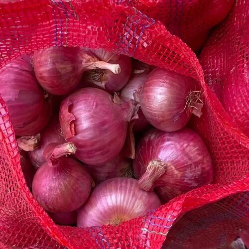 Red Onion