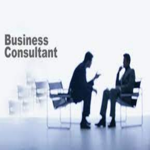 business consultancy