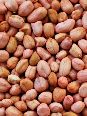 Commonly Cultivated Groundnut Seeds