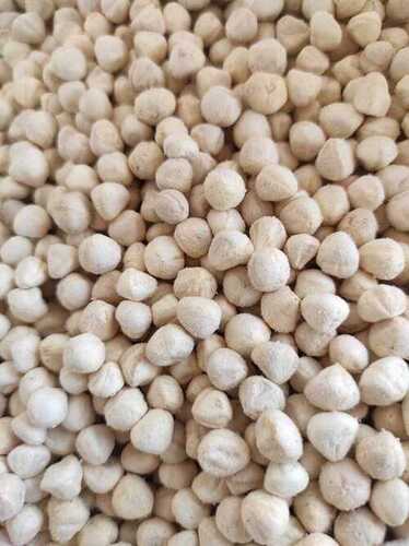 moringa seed kernels