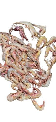 Healthy And Nutritious Sea Prawns