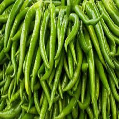 100% Natural And Pure Organic Green Chilli For Food Grade