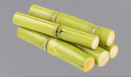 100% Organic Green Sugarcane