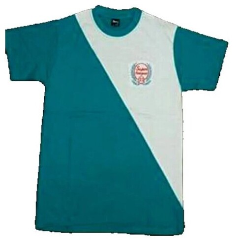 Multi Color Printed Pattern Round Neck Short Sleeves Kids Casual T-Shirt