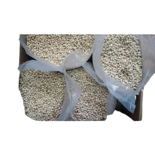 High Quality Ben Oil Seeds Kernel 