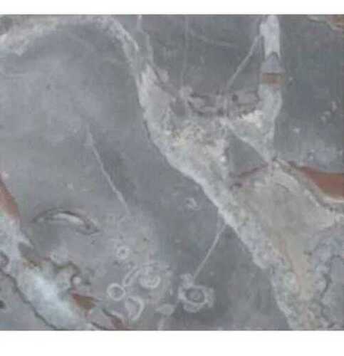 Grey Marble Slab For Flooring