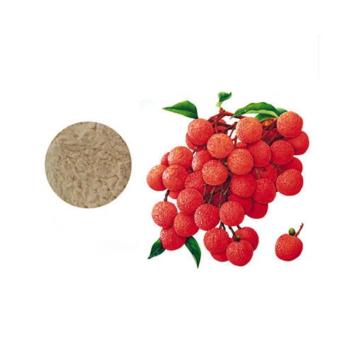 Spray Dried / Dehydrated Lychee Powder