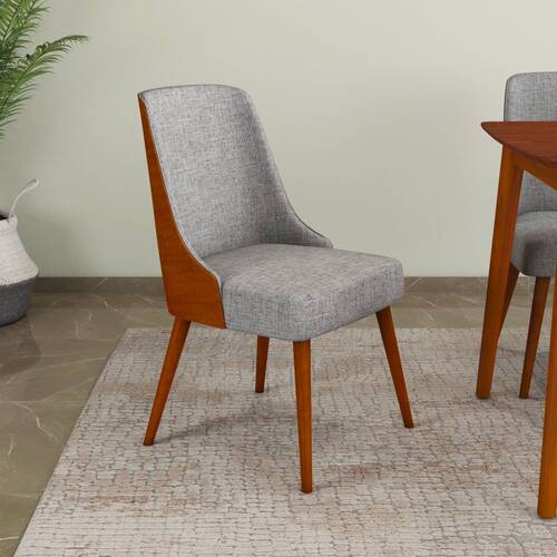 Furniture Chair