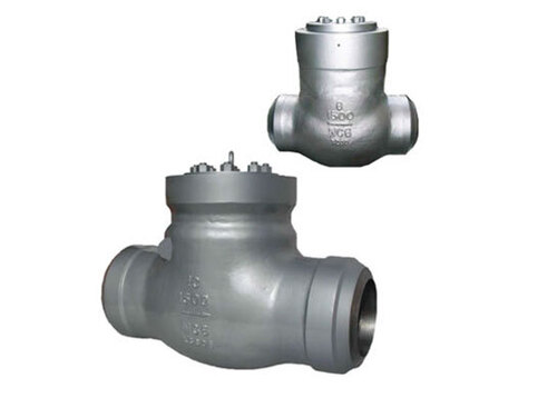 Corrosion Resistant Durable Seal Swing Check Valve