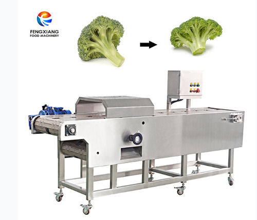 Fengxiang West Blue Flower Root Cutting Machine