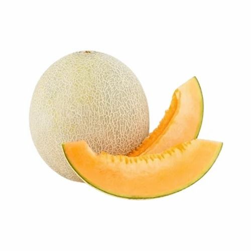 Fresh Muskmelon