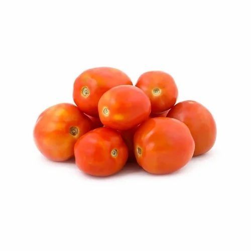 Fresh Tomato