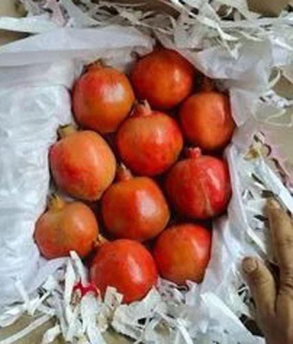 Pomegranate Fruits