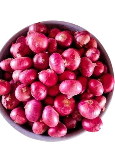 100% Pure & Natural Fresh Red Onion