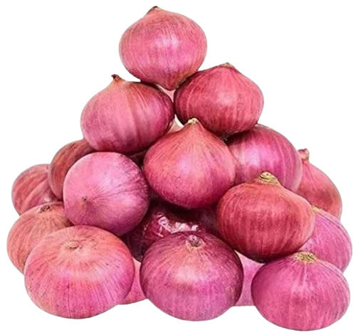 Fresh Red Onion - A Grade Chopped Vegetable, 100% Pure, Good for Health, Round Shape, Cooked Style, 1 Day Shelf Life, Preserved in Cool & Dry Places