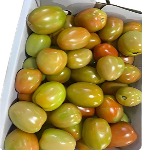 Natural Fresh Green Tomato