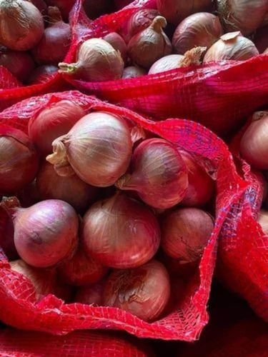 Natural Fresh Organic Red Onion