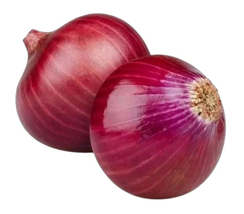 Red Onion 