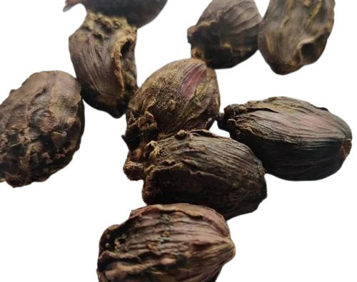 Natuarl Dried Black Cardamom