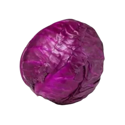 100% Pure Fresh Purple Cabbage