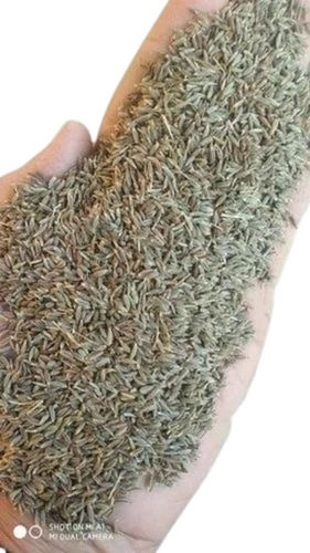 Natural Dried Brown Cumin Seed