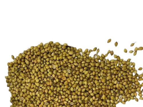 Coriander Seed