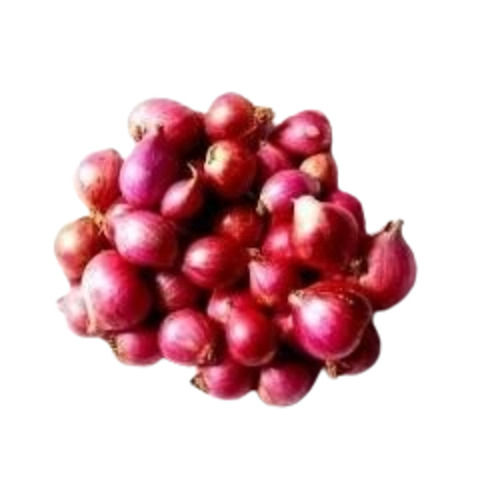 Small Red Onion