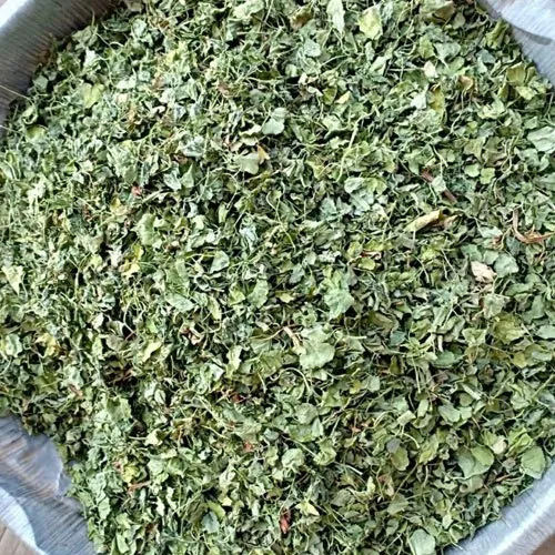 100% Natural Green Dehydrated Fenugreek Leaves