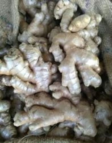 High Quality A Grade Dry Ginger