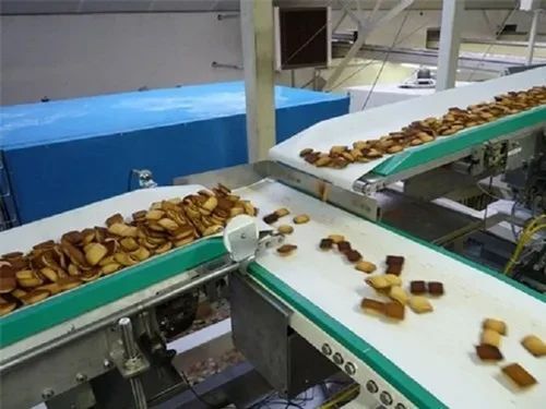 Food Grade Conveyor Belts