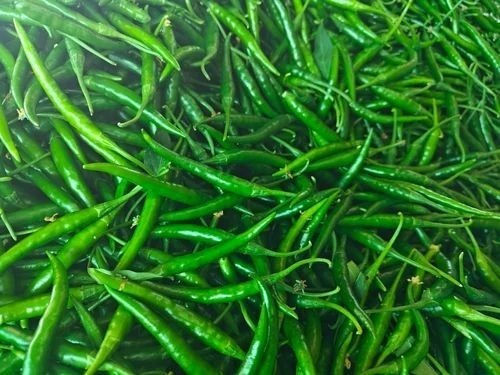 Green Chilli 